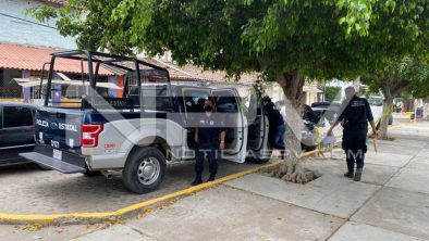 SEGURIDAD BAHIA 7411