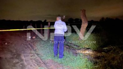 SEGURIDAD BAHIA 7650