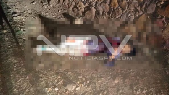 SEGURIDAD BAHIA 8258