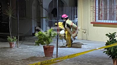 WhatsApp Image 2020-12-13 at 10.26.13 (1)