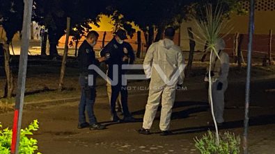 WhatsApp Image 2020-12-13 at 10.26.13