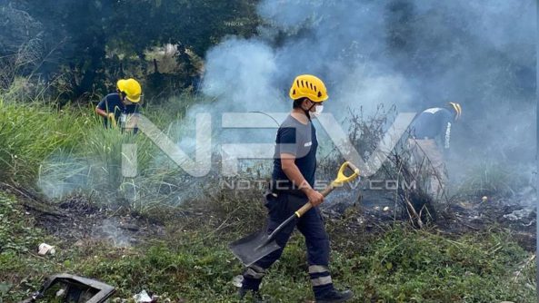 SEGURIDAD BAHIA 001