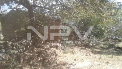 SEGURIDAD BAHIA 9059