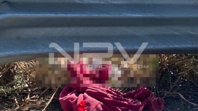 SEGURIDAD BAHIA 9531