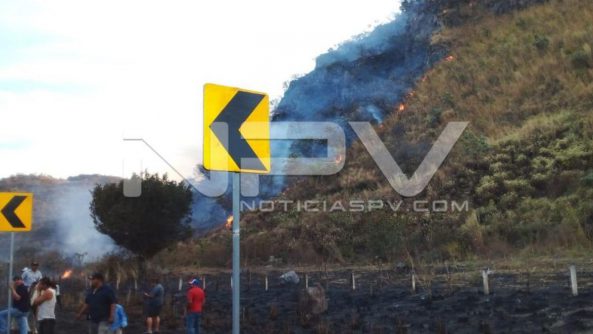 SEGURIDAD 10541