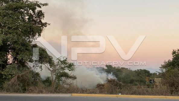 SEGURIDAD BAHIA 006