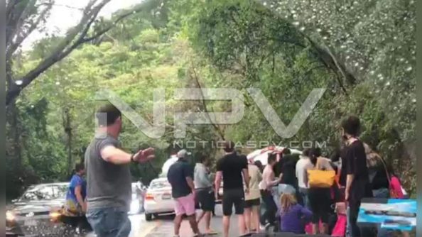 SEGURIDAD BAHIA 10549