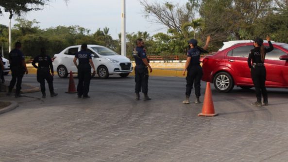 COMUNICADO 11798