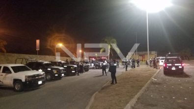 SEGURIDAD 11182