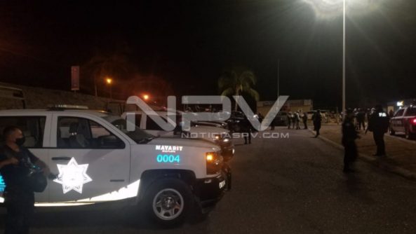 SEGURIDAD 11184