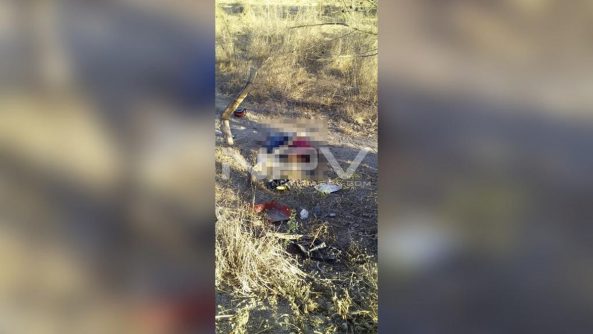 SEGURIDAD BAHIA 002