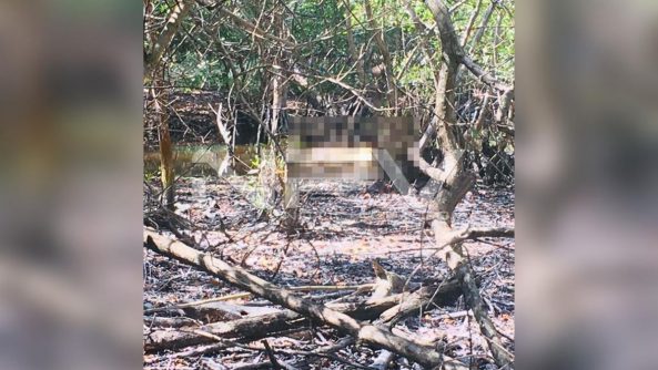 SEGURIDAD BAHIA 003