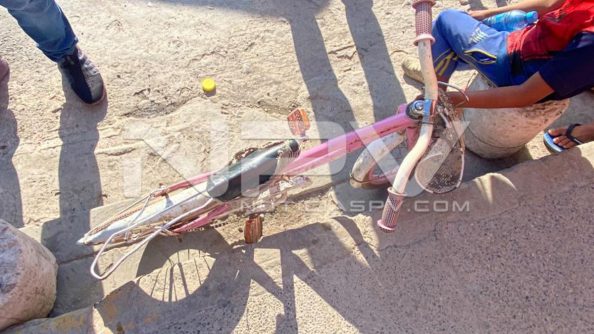 SEGURIDAD BAHIA 11173