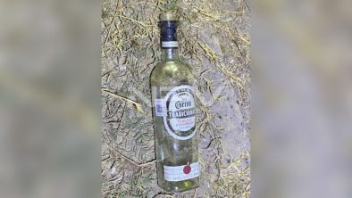 SEGURIDAD BAHIA 11211