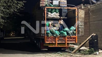 SEGURIDAD BAHIA 11711