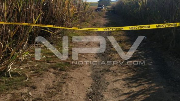 SEGURIDAD BAHIA 005