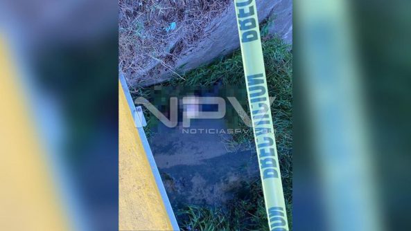 SEGURIDAD BAHIA 015