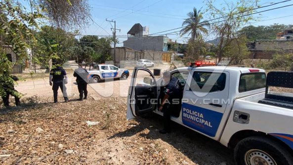 SEGURIDAD 14686
