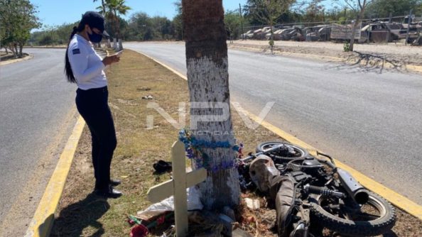 SEGURIDAD BAHIA 13433