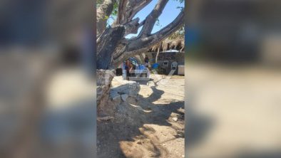 SEGURIDAD BAHIA 14274