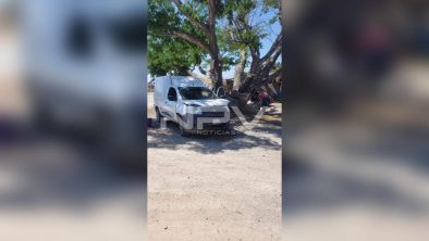 SEGURIDAD BAHIA 14276