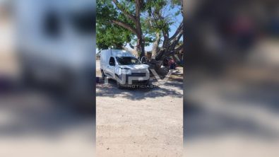 SEGURIDAD BAHIA 14276