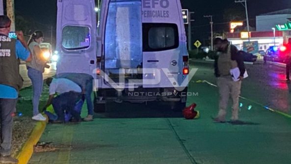 SEGURIDAD BAHIA 14538