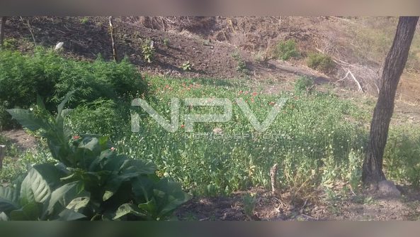 330E1B1B-3109-4EE2-9F9A-3D27371F0B6D