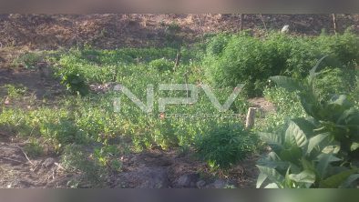 E2994812-07FD-41D3-BAEB-5D7B011B8511