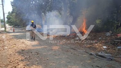 SEGURIDAD 003
