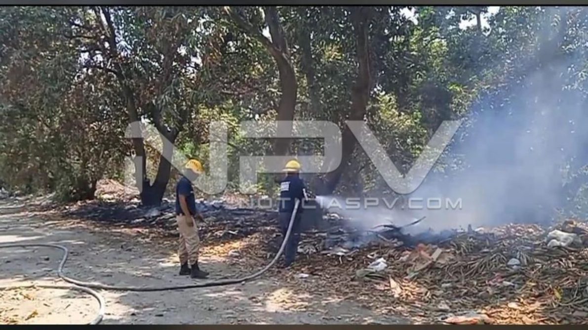 SEGURIDAD 007