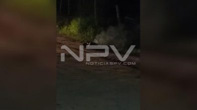 SEGURIDAD 16011