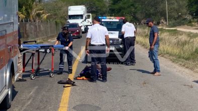 SEGURIDAD BAHIA 15485