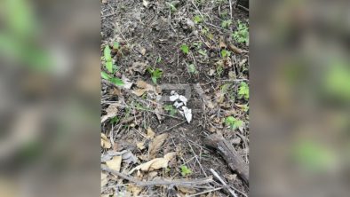 SEGURIDAD BAHIA 15711