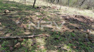 SEGURIDAD BAHIA 15713