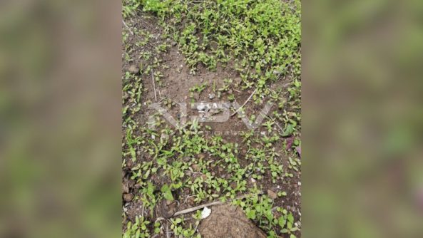 SEGURIDAD BAHIA 15714