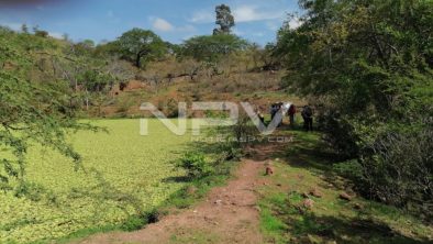 SEGURIDAD BAHIA 15715