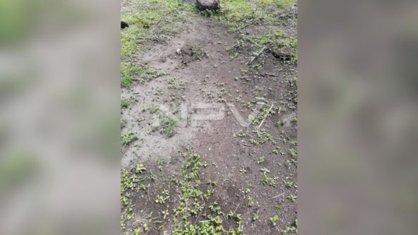 SEGURIDAD BAHIA 15718