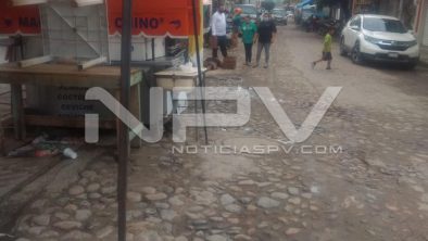 SEGURIDAD BAHIA 15833