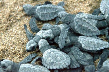 a4472b9e-53fb-9f0e-c51b-99cea615fdfa