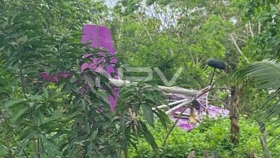 SEGURIDAD BAHIA 16883