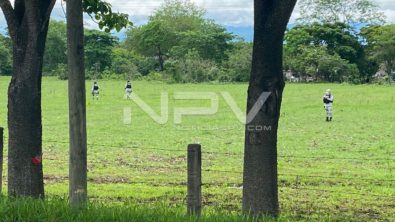 SEGURIDAD BAHIA 16895