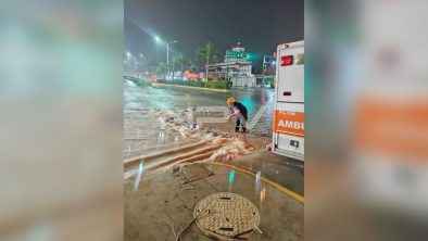 SEGURIDAD BAHIA 17078