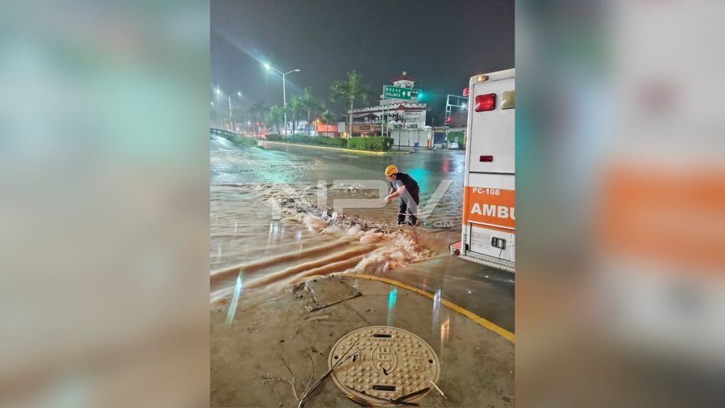 SEGURIDAD BAHIA 17078