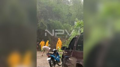 SEGURIDAD BAHIA 17079