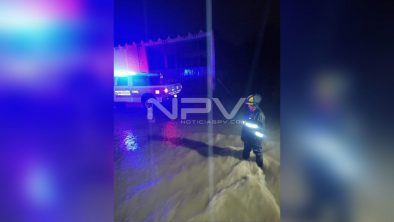 SEGURIDAD BAHIA 17084