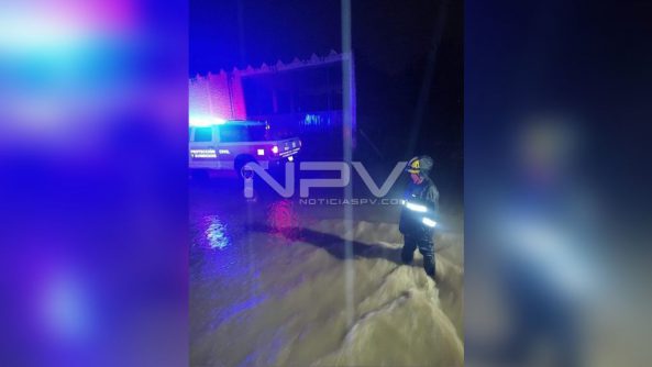 SEGURIDAD BAHIA 17084