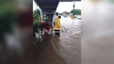 SEGURIDAD BAHIA 17086