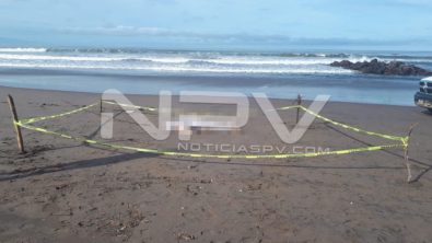 SEGURIDAD BAHIA 17257