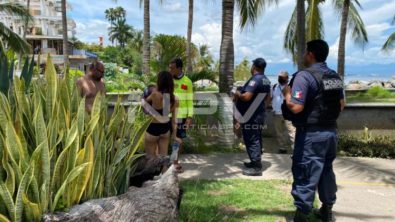 SEGURIDAD BAHIA 17454